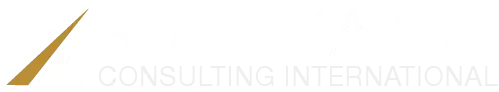 Logo Sotomayor Consulting International