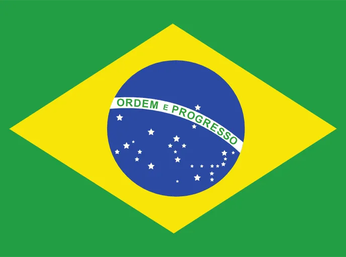 Bandera Português